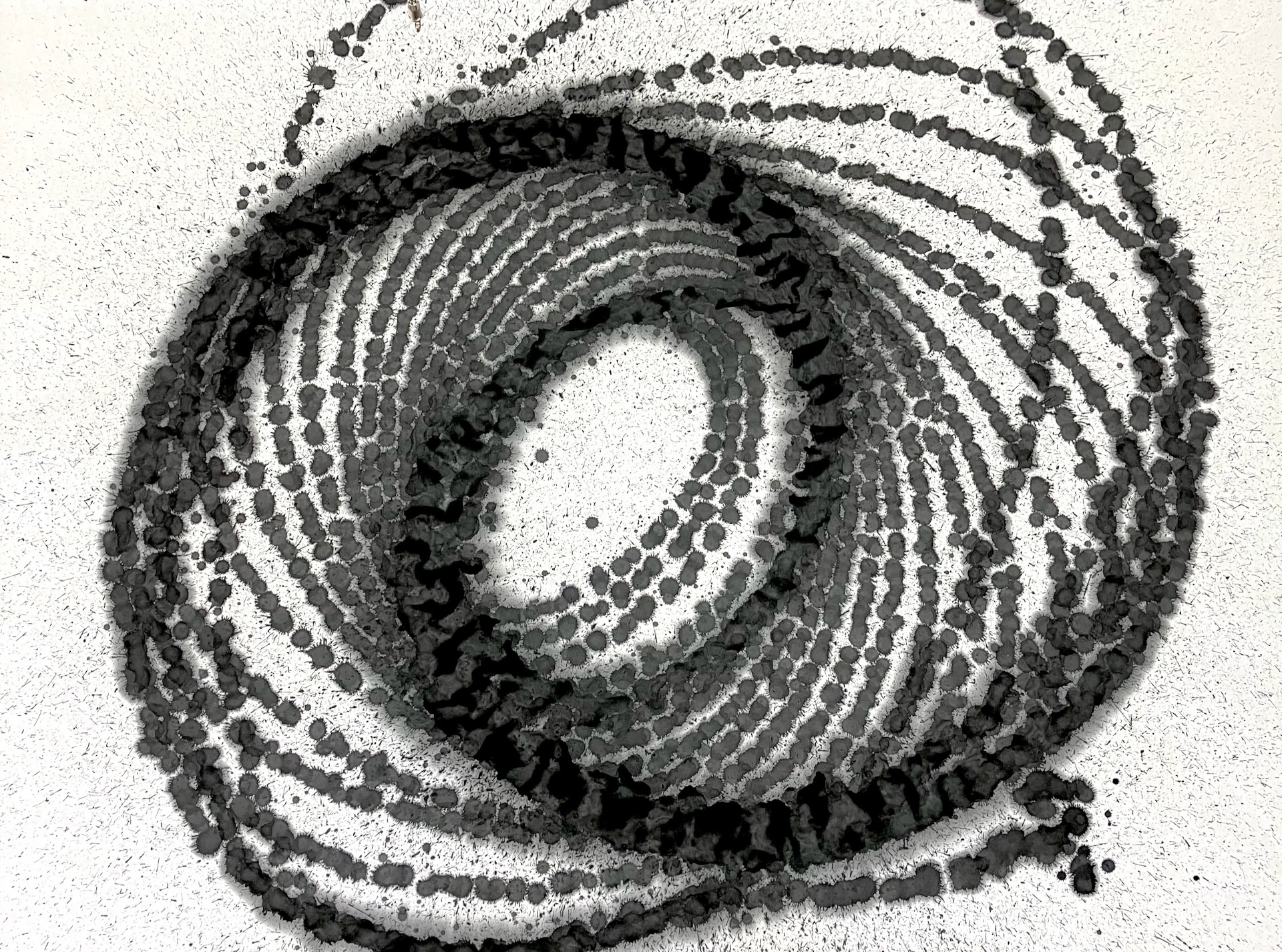 Spiral of life :: nakajima hiroyuki/中嶋宏行